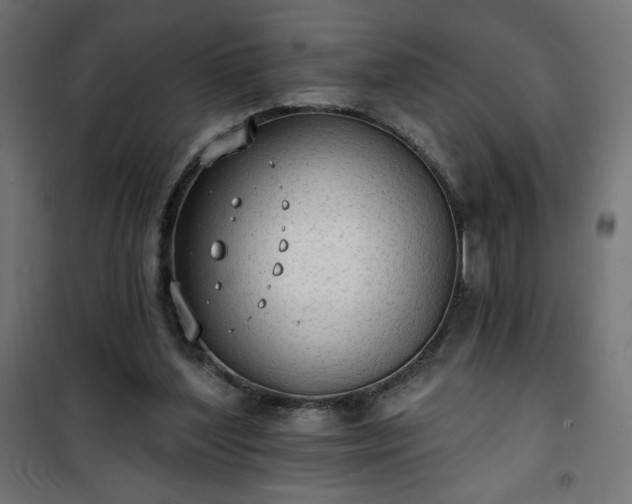 X0000101150204200807071158