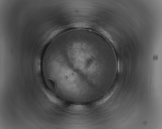 X0000101150205200807071158