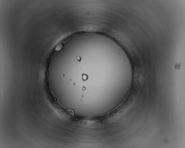 X0000101150208200807071158