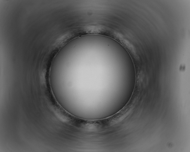 X0000101150209200807071158