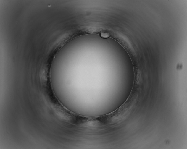 X0000101150210200807071158