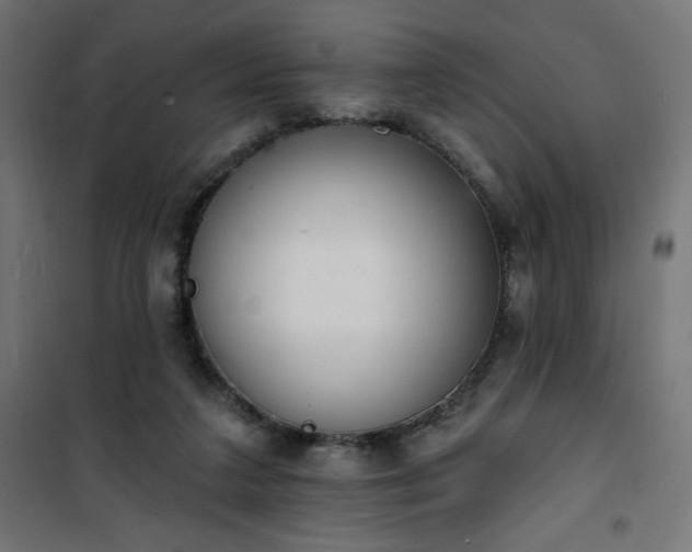 X0000101150211200807071158