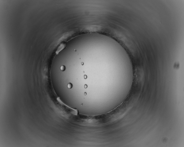 X0000101150212200807071158