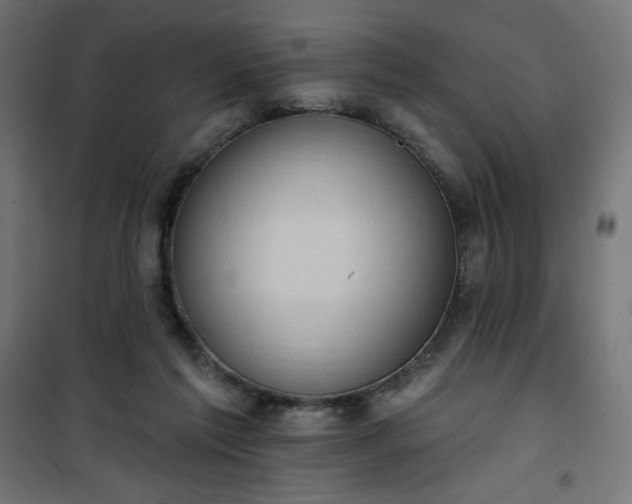 X0000101150213200807071158