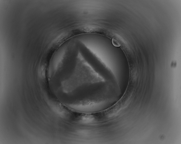 X0000101150214200807071158