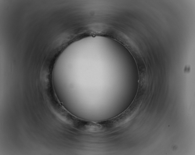 X0000101150215200807071158