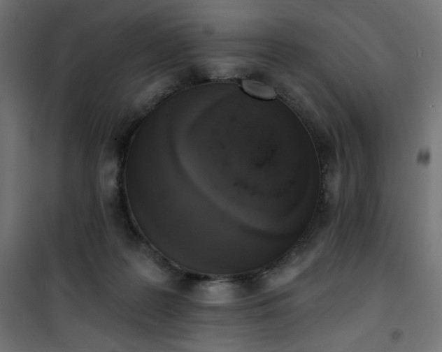 X0000101150219200807071157