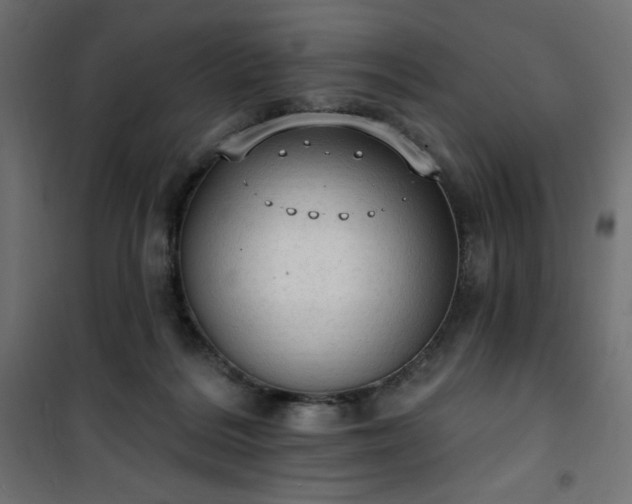 X0000101150220200807071157