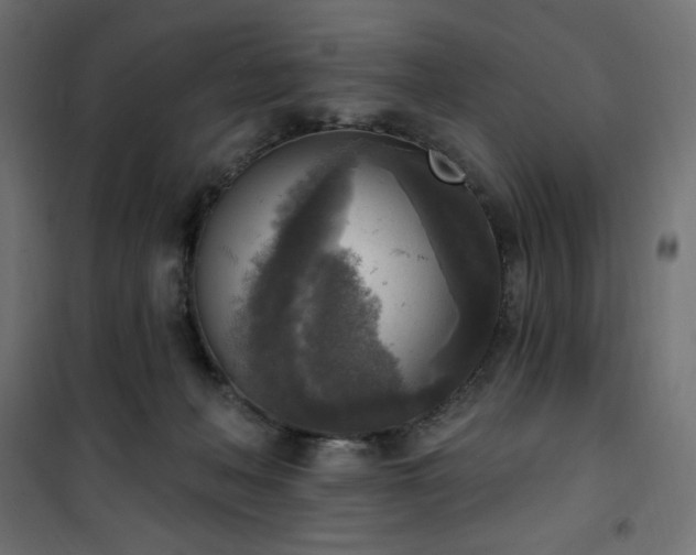 X0000101150222200807071157