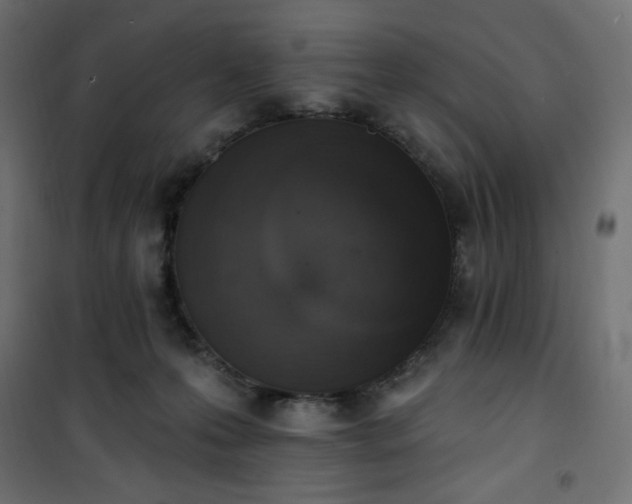 X0000101150223200807071157