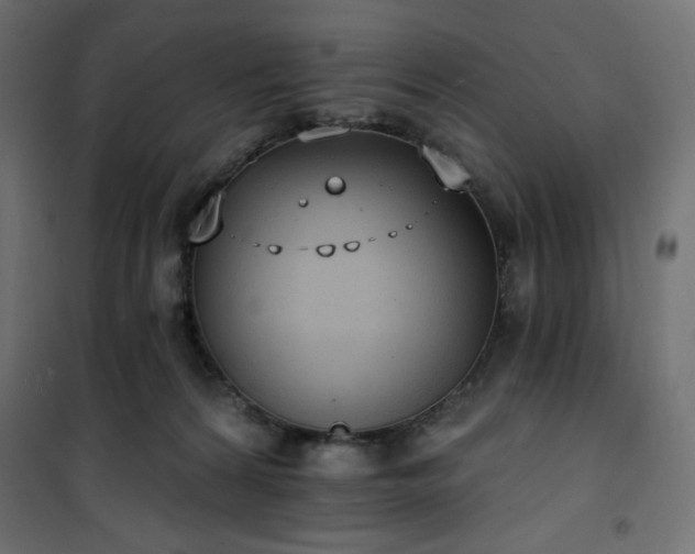 X0000101150224200807071157