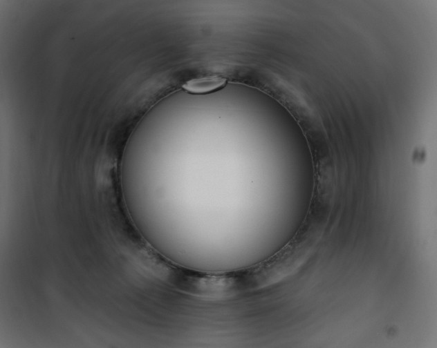 X0000101150225200807071157