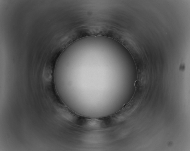 X0000101150226200807071157