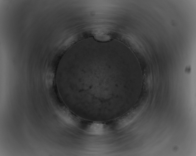 X0000101150227200807071157