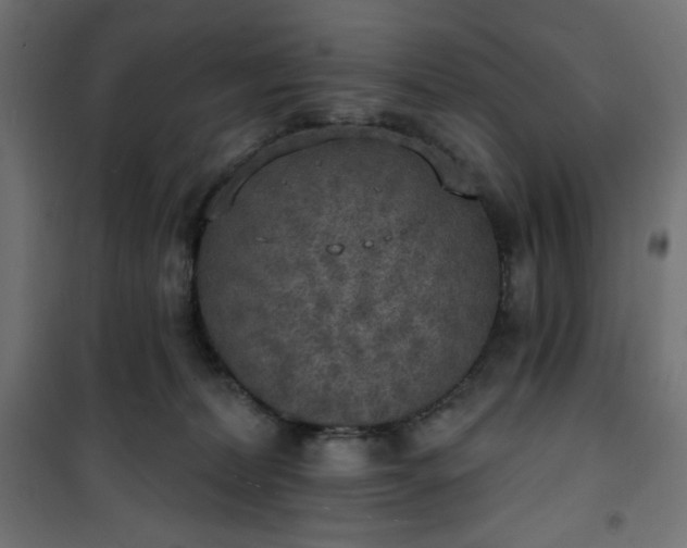 X0000101150228200807071157