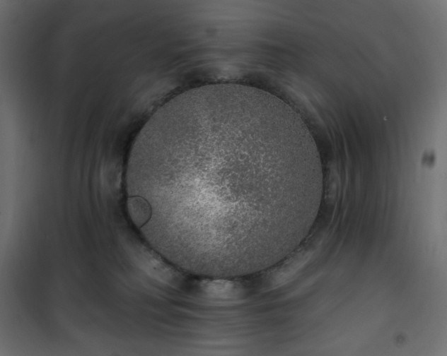 X0000101150230200807071157