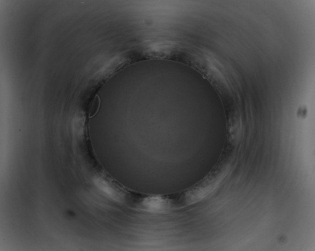 X0000101150231200807071157