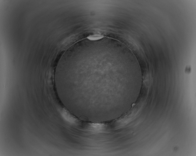 X0000101150233200807071157