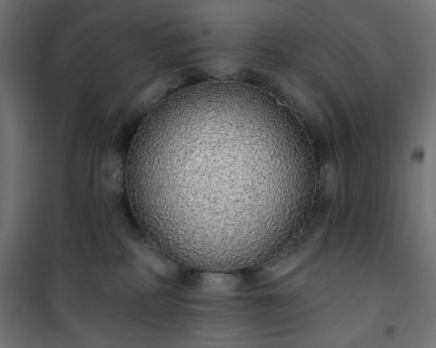 X0000101150234200807071157