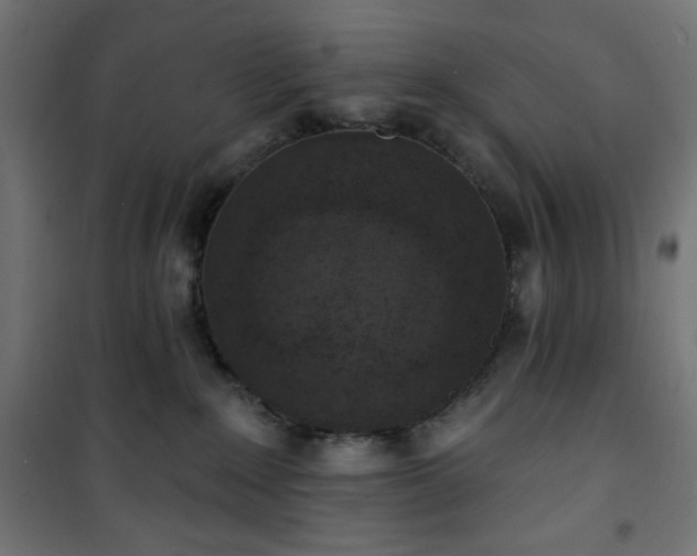 X0000101150235200807071157