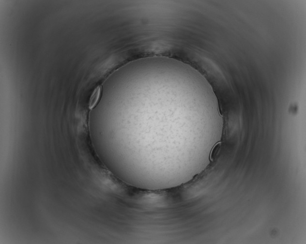 X0000101150236200807071157