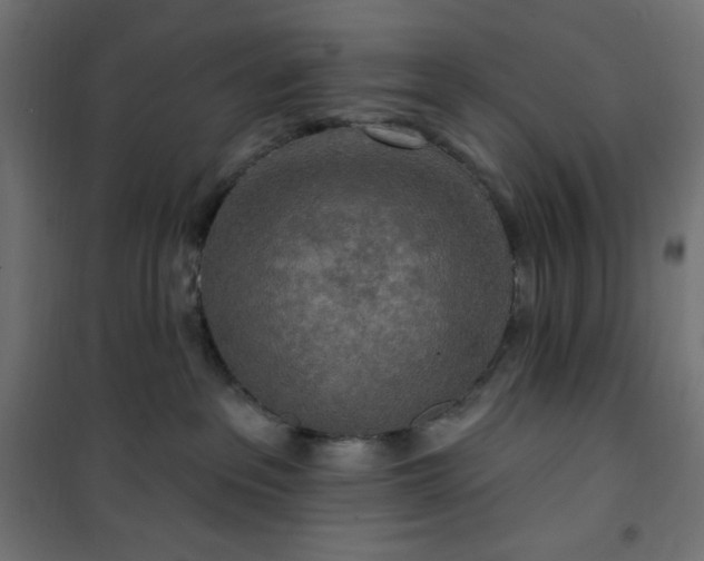 X0000101150237200807071157