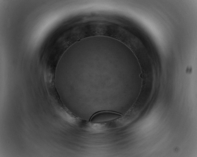 X0000101150239200807071157