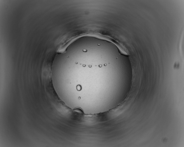 X0000101150240200807071157