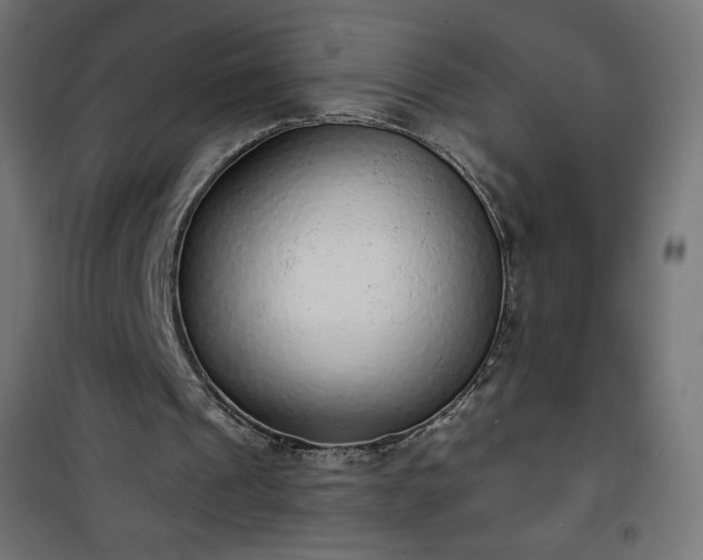 X0000101150241200807071156