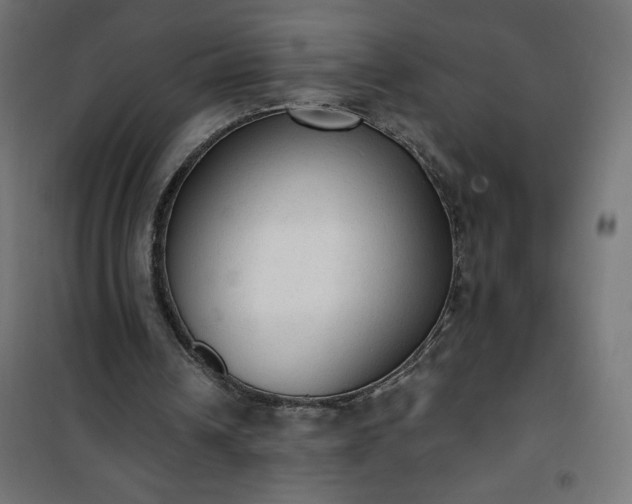 X0000101150242200807071157