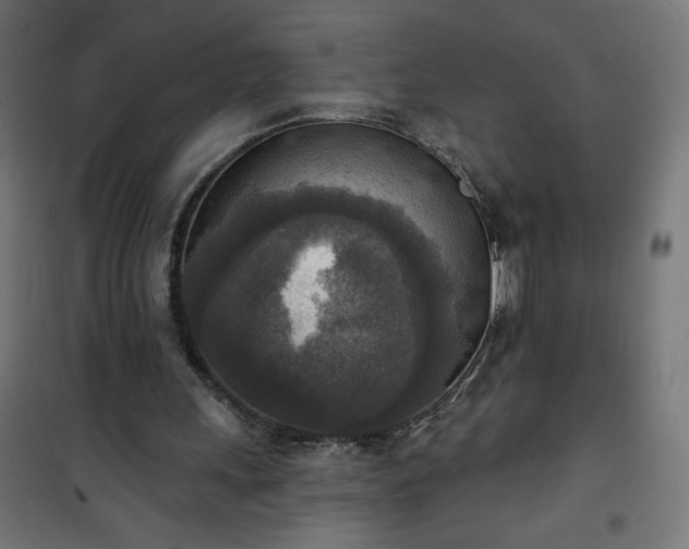 X0000101150243200807071157