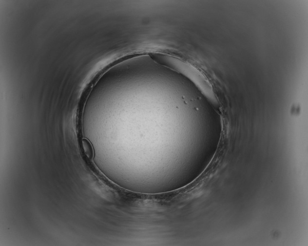 X0000101150244200807071157