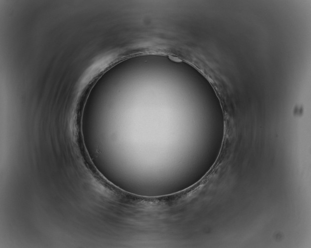 X0000101150245200807071157