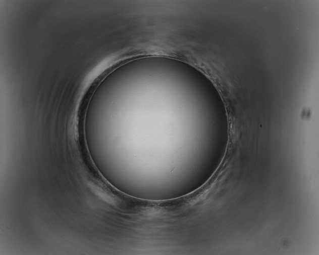 X0000101150246200807071157