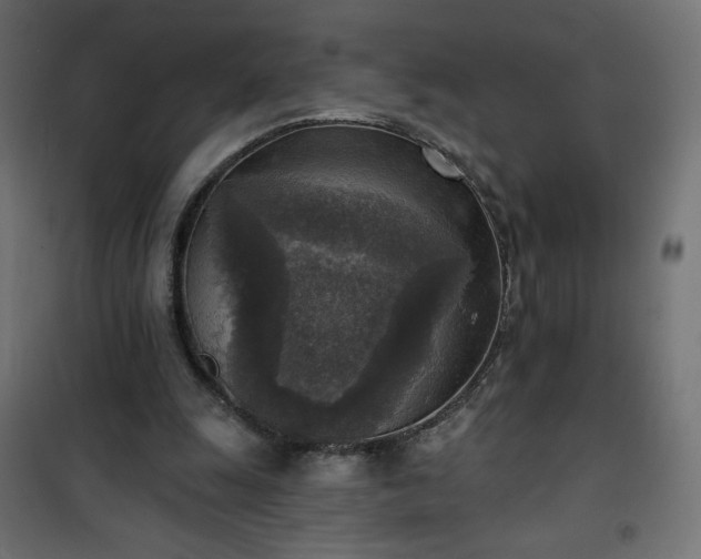 X0000101150247200807071157