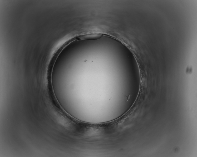 X0000101150248200807071157