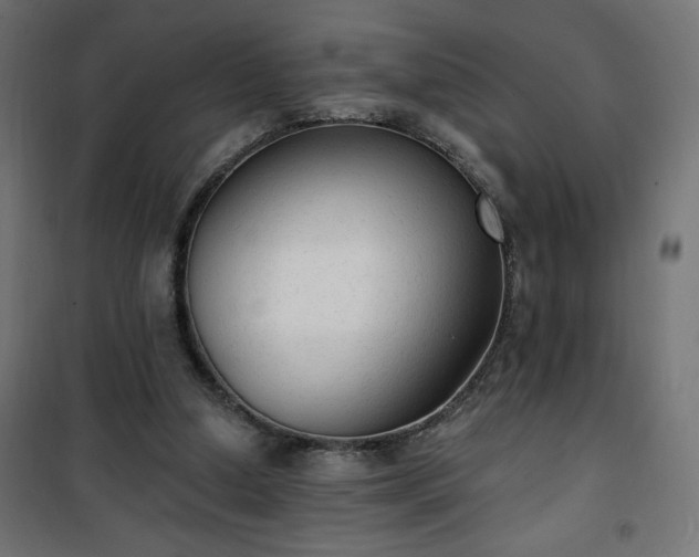 X0000101150250200807071157