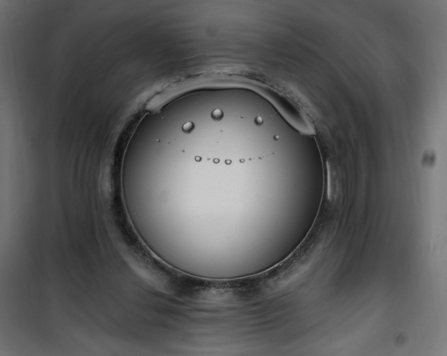 X0000101150252200807071157