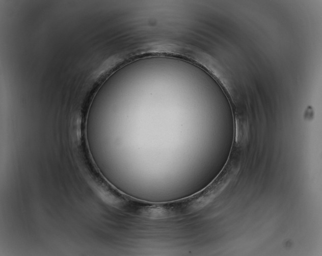 X0000101150253200807071157