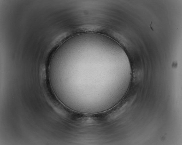 X0000101150254200807071157