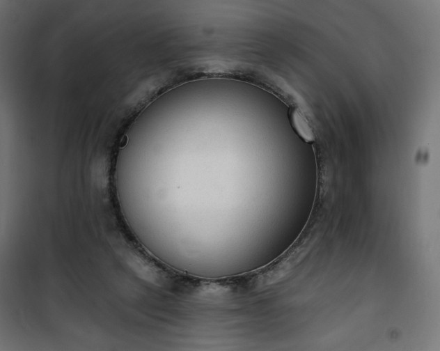 X0000101150257200807071157