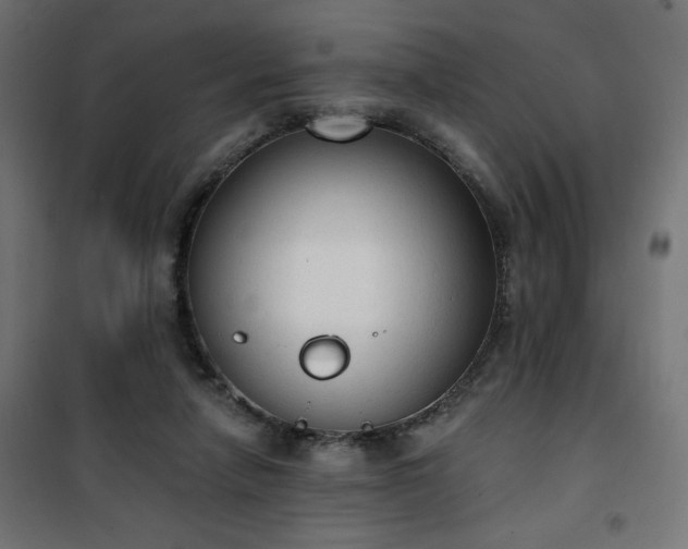 X0000101150258200807071157