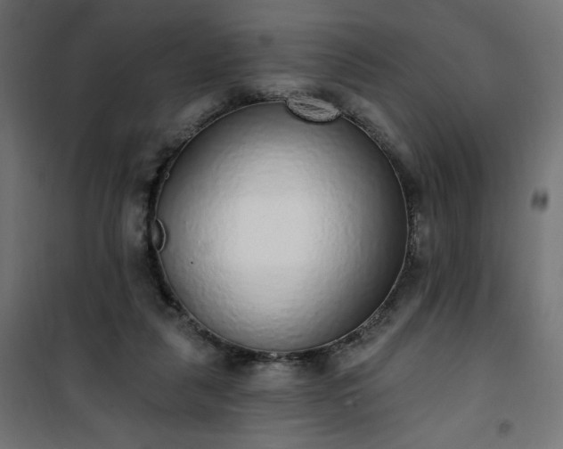 X0000101150259200807071157