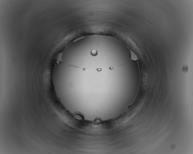 X0000101150260200807071157