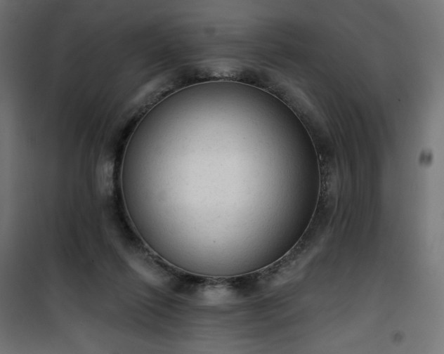 X0000101150262200807071157