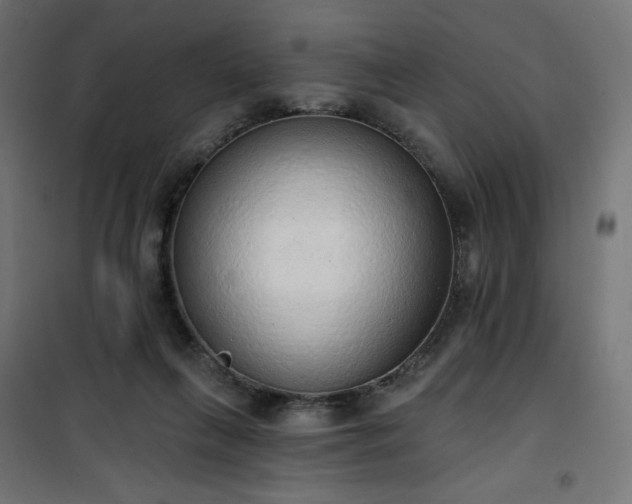 X0000101150263200807071157