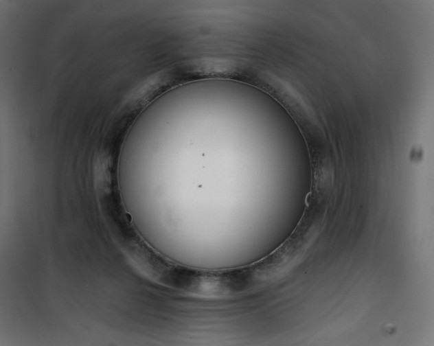 X0000101150264200807071157