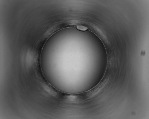 X0000101150265200807071157