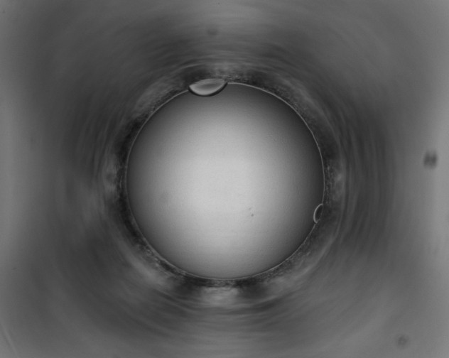 X0000101150266200807071157