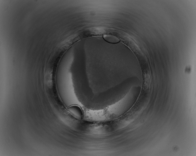 X0000101150267200807071157